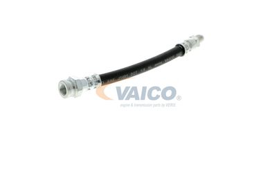 FURTUN FRANA VAICO V249644 20