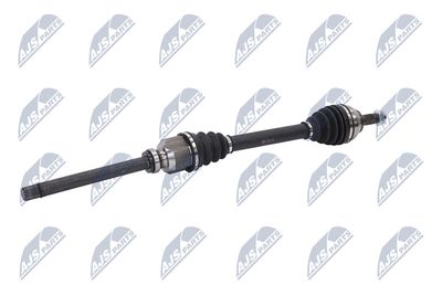 PLANETARA NTY NPWCT107 3