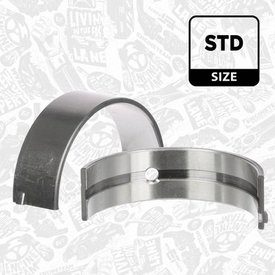 SET RULEMT ARBORE COTIT ET ENGINETEAM LH007900 1