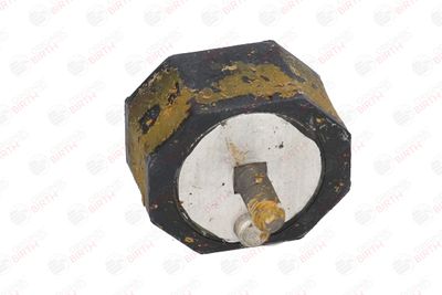 SUPORT MOTOR BIRTH 5282 3