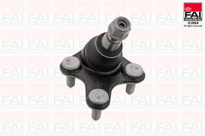 ARTICULATIE SARCINA/GHIDARE