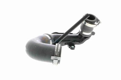 LADELUFTSCHLAUCH VAICO V460737 8