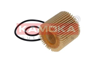 Oil Filter F112101