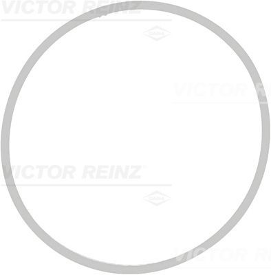 Прокладка, впускной коллектор VICTOR REINZ 71-39409-00 для BMW 6
