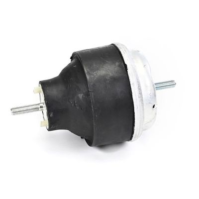 LAGERUNG MOTOR DELPHI TEM239 19