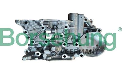 Sada na opravy, Mechatronik (automatická převodovka) Borsehung B10925