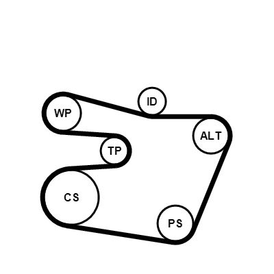 POMPA APA + SET CUREA TRANSMISIE CU CANELURI CONTINENTAL CTAM 6PK1538WP1 1