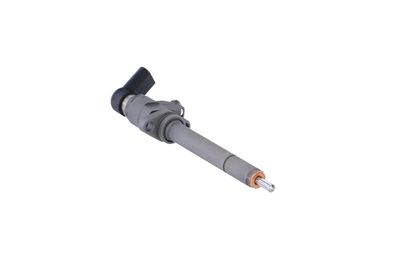 INJECTOR REMANTE 002003000081R 51