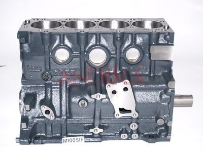 MOTOR EXCLUZAND ACCESORIILE