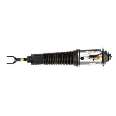 LUFTFEDERBEIN Arnott AS2560 52