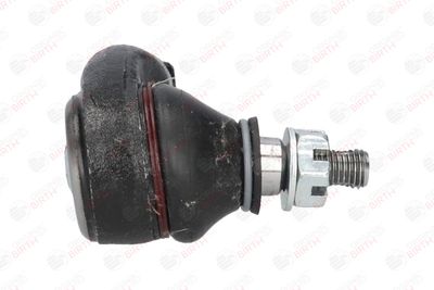 CAP DE BARA BIRTH RS0106 10