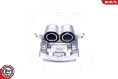 Brake Caliper 44SKV912