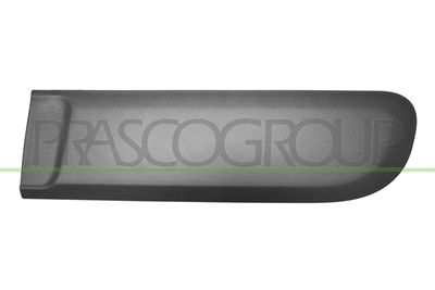 ZIER-/SCHUTZLEISTE TüR