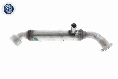 KüHLER ABGASRüCKFüHRUNG VEMO V30630075 5