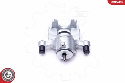 Brake Caliper 44SKV413