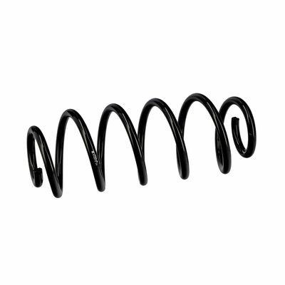 ARC SPIRAL EIBACH R10270 6