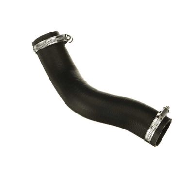 FURTUN EAR SUPRAALIMENTARE GATES 091609 64