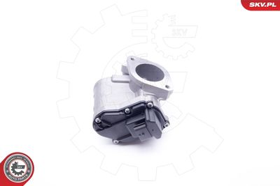 EGR Valve 14SKV165