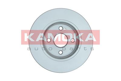 Brake Disc 1031088