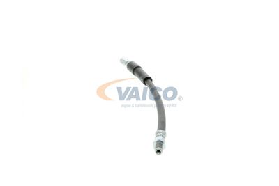 FURTUN FRANA VAICO V204104 13