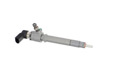 INJECTOR REMANTE 002003001158R 46