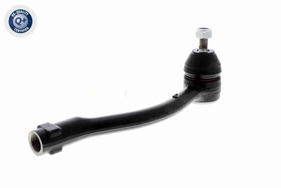 CAP DE BARA ACKOJA A521217 4