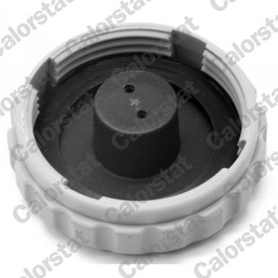 Cap, coolant tank RC0004