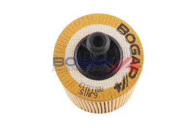 FILTRU ULEI BOGAP A8113113 2