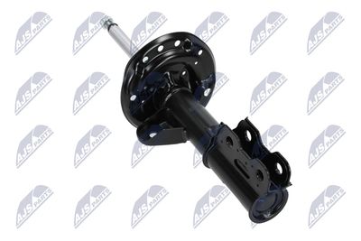 AMORTIZOR NTY APL036 13