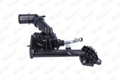 FLANSA LICHID RACIRE BIRTH 81085 8