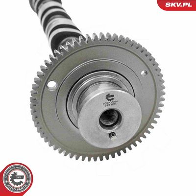 Vačkový hřídel ESEN SKV 80SKV064