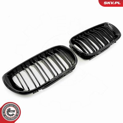 GRILA RADIATOR ESEN SKV 66SKV081 1