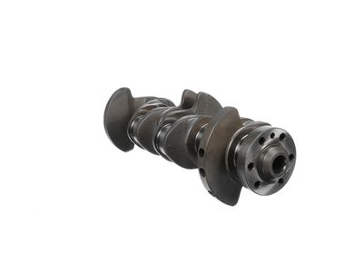 ARBORE COTIT ET ENGINETEAM HK0230 21