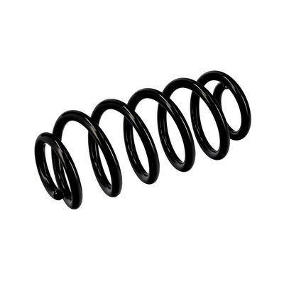ARC SPIRAL EIBACH R10137 5