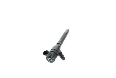 INJECTOR BOSCH 0445110257 11