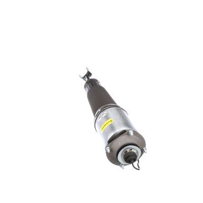 LUFTFEDERBEIN Arnott AS2778 45