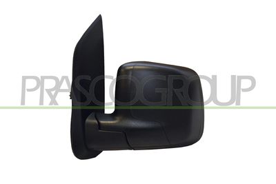 външно огледало PRASCO FT9077114
