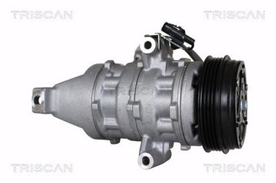 COMPRESOR CLIMATIZARE TRISCAN 902069020 6