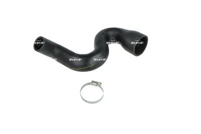 FURTUN EAR SUPRAALIMENTARE