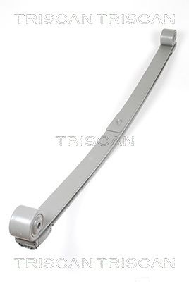 TRISCAN Federnpaket