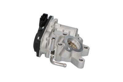 SUPAPA EGR Kavo Parts EEG8003 23