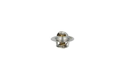 TERMOSTAT LICHID RACIRE NRF 725156 10