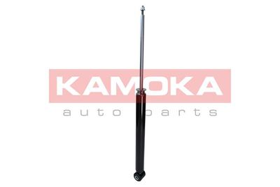 Shock Absorber 2001023