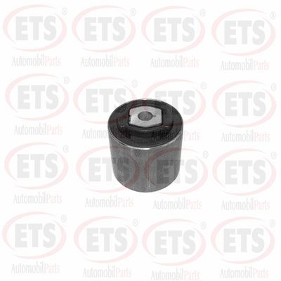 Подвеска, рычаг независимой подвески колеса ETS 11.SB.043 для CHEVROLET CAMARO
