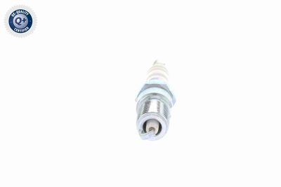 BUJII VEMO V99750008 7