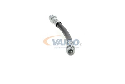 FURTUN FRANA VAICO V104114 12