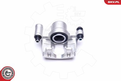 Brake Caliper 45SKV633