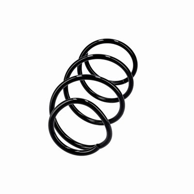 ARC SPIRAL EIBACH R10875 2