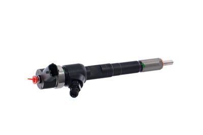INJECTOR REMANTE 002003001717R 37