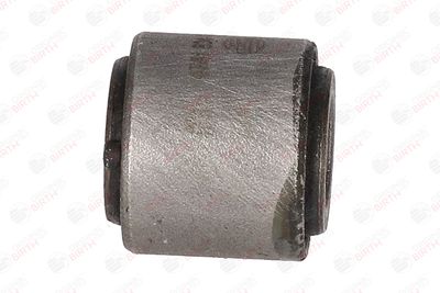 BUCSA ARBORE DE DIRECTIE BIRTH 4741 1